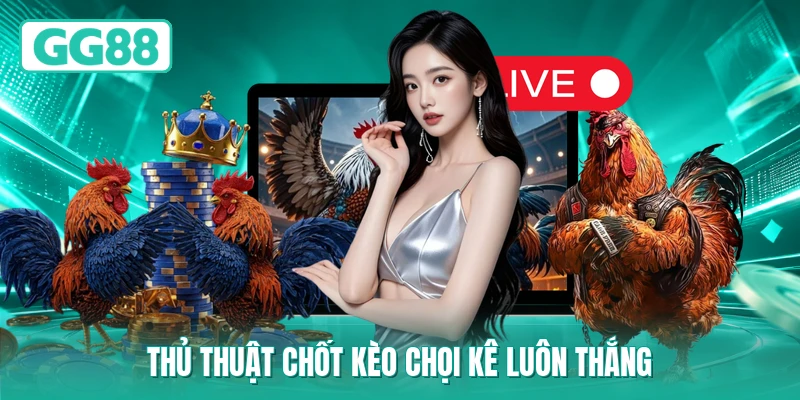 Thủ thuật chốt kèo chọi kê luôn thắng